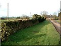 Old wall near site of Baxterley Old Hall