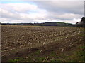 Stubble Field