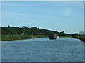 TM4698 : River Waveney near St Olaves by David Medcalf
