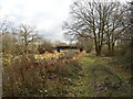 Railway Bridge over Basingstoke Canal, Aldershot, Hampshire