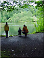 Ponds at Drum Manor Park