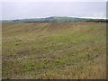 Stubble Field