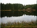 NM9208 : Lochan Dubh from the east bank by Patrick Mackie