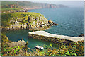 SR9995 : Stackpole Quay and Cliffs. by Colin Smith