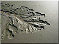 SU7600 : Developing Saltmarsh Channel by Footprints
