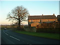 Withy Trees Cottages near Longridge