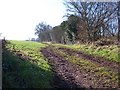 Bridleway from Hyde Bridge to Little Cowarne