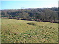 Earth mounds near Dewlish