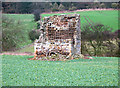 Ruined Dovecot