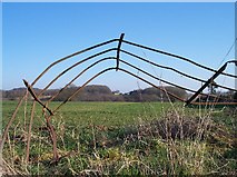 SO6358 : Mangled Fence by Bob Embleton