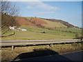 Cwm Cottage Farm (Near Bethel)