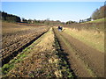 Chipperfield: Bridleway between Hunton Bridge and Bucks Hill