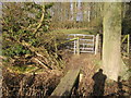 SP2858 : Footpath and Bridge near Rushy Close Spinney by David Stowell