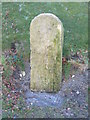 Milestone at Tinhead Edington