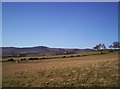 Rough grazing with Hill of Wirren in the distance