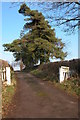 Entrance and driveway to Thatch Close, near Llangrove