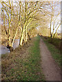 Grand Union Canal: Slough branch