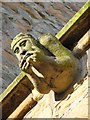 Gargoyle, Dornoch Cathedral