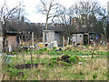 Allotments, Northfield Avenue W13