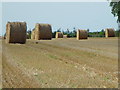 Bales in the field behind Garvock Street, Laurencekirk