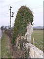 Maen Addwyn Standing Stone, near Capel Coch, Anglesey.