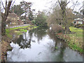 Wraysbury: Colne Brook