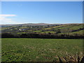 South Devon farmland