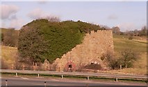SH4573 : A Disused Lime Kiln near Lledwigan, Llangefni. by Stephen Elwyn RODDICK