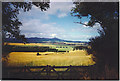 Barley Fields near Backhill of Castle Fraser