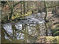 The River Meavy near Clearbrook