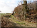 Footpath Windmill Hill East Sussex