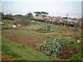 Beach Hill Allotments