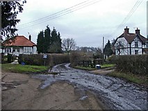 TL4102 : Cobbinsend Road, near Waltham Abbey by Christine Matthews