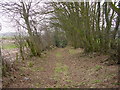 Footpath at Thurstonfield