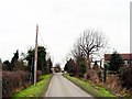 Road by Brook Farm