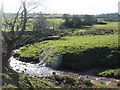 SD6902 : Old Mill Brook near Tyldesley by Margaret Clough