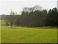 SP5160 : Lower Catesby - Newbold Grounds by Ian Rob