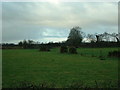 J1878 : Countryside near Straidhavern by Chris Shaw