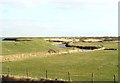 River bank near Barling