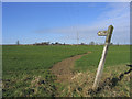 Footpath to Roxwell