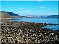 The shore of Loch Fyne at Cumlodden