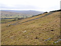 The access road to the transmitter at Mounthooly