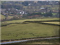 Fields above Alston