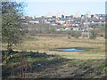 Berry Hill, Stoke on Trent