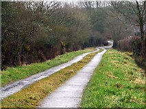 SH4469 : Country lane by Nigel Williams