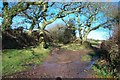 East Rook Gate - Dartmoor