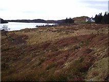 NC1826 : Looking West along Loch Assynt from Tumore by Donald H Bain