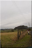 NO6055 : Looking over fields to tree covered mound at Greenlaw, on the A933. by Gwen and James Anderson
