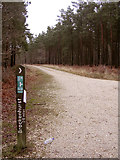 SU3205 : Junction of paths in the Parkhill Inclosure, New Forest by Jim Champion
