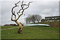 Dead Tree and Footbridge